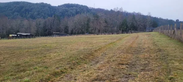 Parcela de 5.000 m² con casa en Ñancul Sur, a 15 minutos de Villarrica — foto 4/5