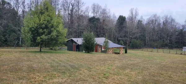 Parcela de 5.000 m² con casa en Ñancul Sur, a 15 minutos de Villarrica — foto 5/5
