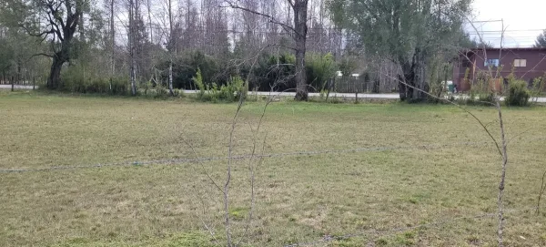 Parcela comercial de 5.000 m² con 145 m de frente a la ruta Villarrica-Ñancul — foto 2/9