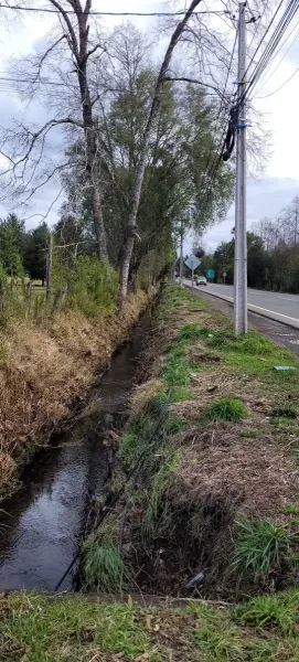 Parcela comercial de 5.000 m² con 145 m de frente a la ruta Villarrica-Ñancul — foto 4/9