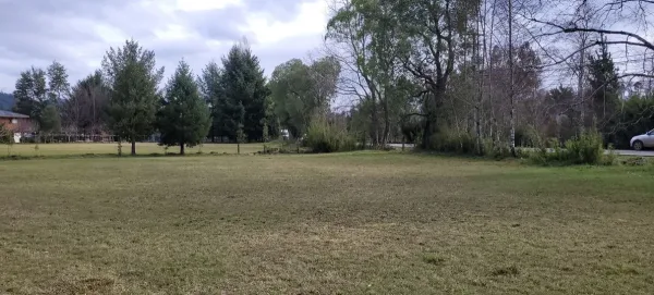 Parcela comercial de 5.000 m² con 145 m de frente a la ruta Villarrica-Ñancul — foto 5/9