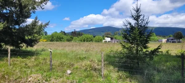 Parcela de 5.000 m² en el condominio Don Enrique, camino a Loncoche — foto 4/7