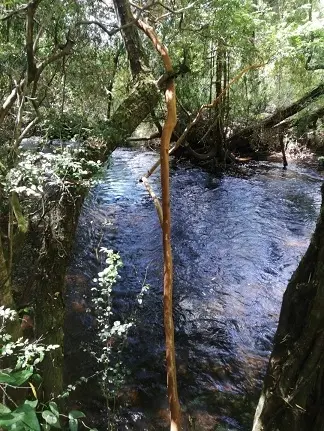 Parcela de 5.000 m² en Laderas de Alihuén, Octava Faja, con agua