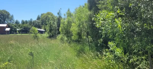Parcela de 5.000 m² en Laderas de Alihuén, Octava Faja, con agua — foto 2/8