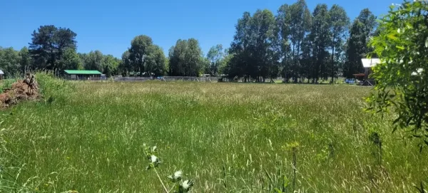 Parcela de 5.000 m² en Laderas de Alihuén, Octava Faja, con agua — foto 3/8