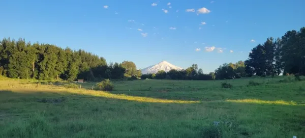 Parcela de 5.000 m² en Lomas de Los Guindos, Segunda Faja, con pozo profundo y luz subterránea — foto 2/6