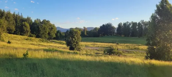 Parcela de 5.000 m² en Lomas de Los Guindos, Segunda Faja, con pozo profundo y luz subterránea — foto 3/6
