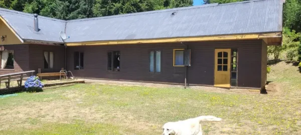 Parcela de 6.000 m² con casa y piscina en El Mañío, a 10 minutos de Villarrica — foto 3/15