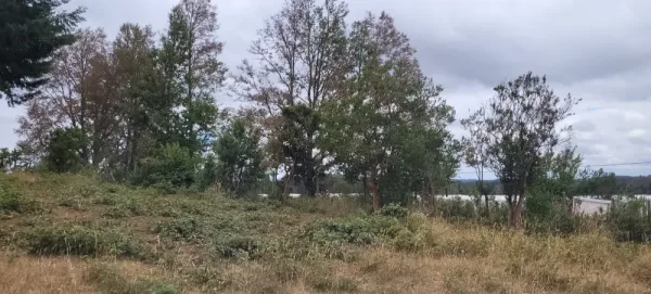 Parcela de 5.000 m² a 9,5 km de Villarrica, con camino asfaltado hasta el terreno — foto 3/4