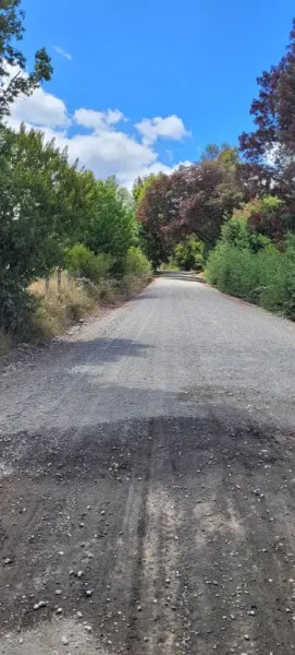 Parcela de 5.000 m² en Santa Elsa, Huaqui, entre Loncoche y Villarrica — foto 2/8
