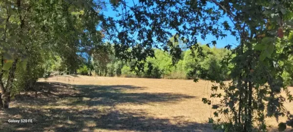 Parcela de 5.000 m² con casa a 5 km de Villarrica, frente al Colegio Oxford — foto 4/10