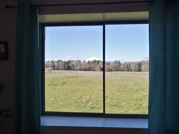 Parcela de 5.000 m² con casa en Los Copihues, Villarrica — foto 2/12