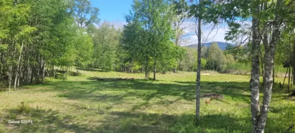 Parcela de 5.000 m² en el condominio Don Enrique, a 5 minutos de Villarrica — foto 2/16