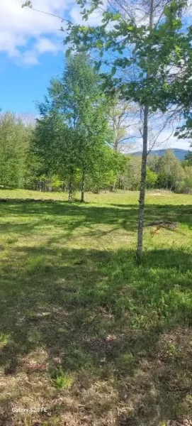 Parcela de 5.000 m² en el condominio Don Enrique, a 5 minutos de Villarrica — foto 3/16