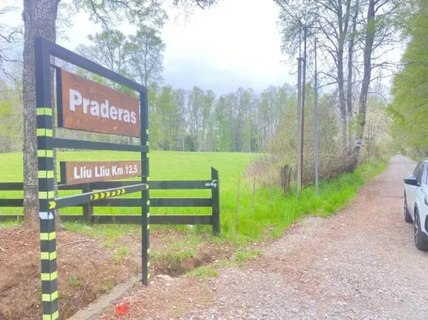 Parcela de 5.200 m² en Lliu Lliu Bajo, a 12,5 km de Villarrica, urbanizada — foto 4/6