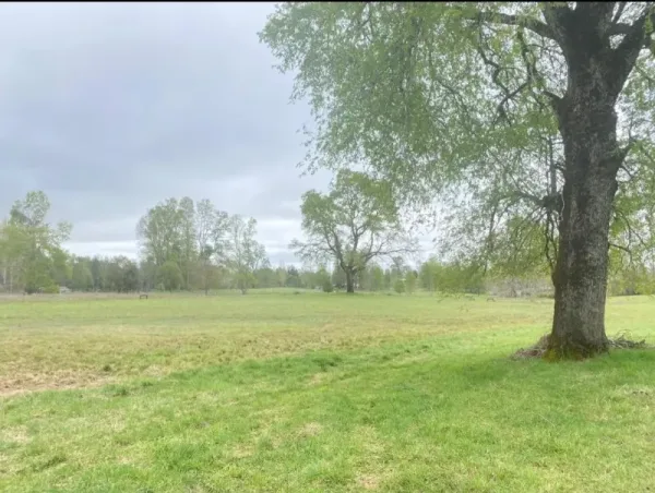 Parcela de 5.200 m² en Lliu Lliu Bajo, a 12,5 km de Villarrica, urbanizada — foto 5/6