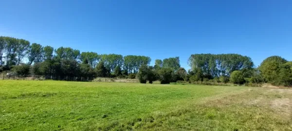 Parcela de 5.000 m² en Allipén Chico, Freire, a 5 km de la Ruta 5 — foto 2/4