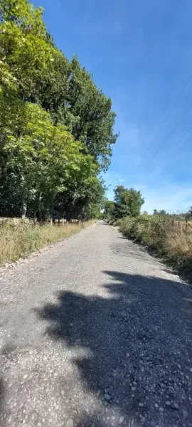 Parcela de 5.000 m² en Allipén Chico, Freire, a 5 km de la Ruta 5 — foto 4/4