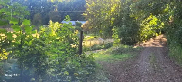 Parcela de 5.000 m² en Villa Eco Natural, Ñancul, a 7 minutos de Villarrica
