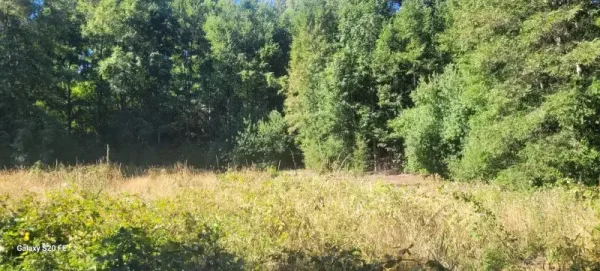 Parcela de 5.000 m² en Villa Eco Natural, Ñancul, a 7 minutos de Villarrica — foto 2/11