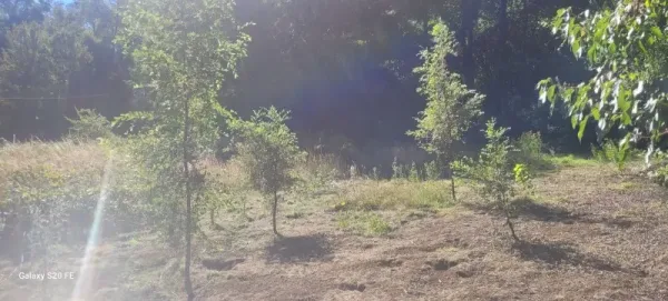 Parcela de 5.000 m² en Villa Eco Natural, Ñancul, a 7 minutos de Villarrica — foto 5/11