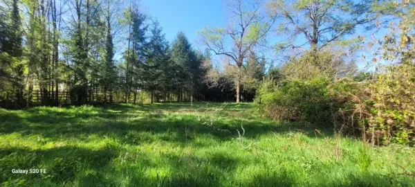 Parcela de 5.100 m² a 2,5 km de Villarrica, con luz y pozo profundo — foto 2/8