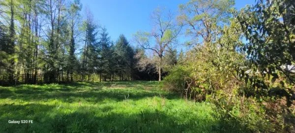Parcela de 5.100 m² a 2,5 km de Villarrica, con luz y pozo profundo — foto 3/8
