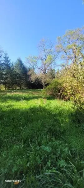Parcela de 5.100 m² a 2,5 km de Villarrica, con luz y pozo profundo — foto 4/8