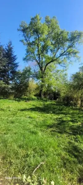 Parcela de 5.100 m² a 2,5 km de Villarrica, con luz y pozo profundo — foto 5/8