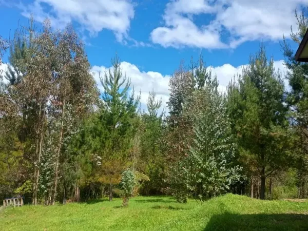 Parcela de 5.000 m² con casa en la Novena Faja, Loncoche, camino a Villarrica — foto 2/6