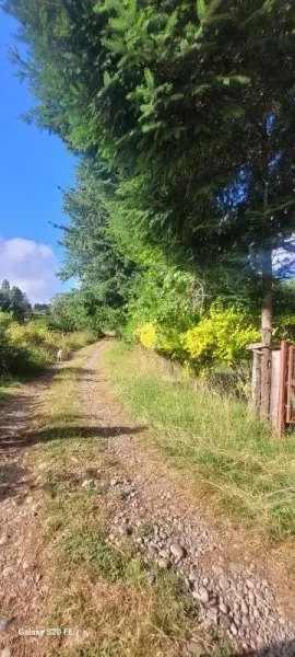 Parcela de 5.000 m² con casa en Coipué, con APR y estero en el deslinde — foto 2/17