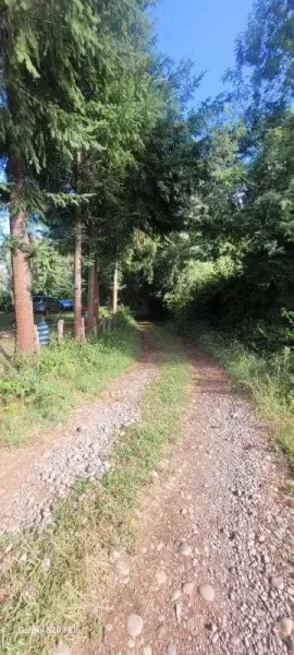 Parcela de 5.000 m² con casa en Coipué, con APR y estero en el deslinde — foto 3/17