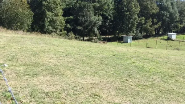 Parcela de 5.000 m² en Vegas de Lessio, Villarrica, rodeada de árboles nativos