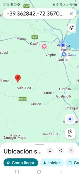 Parcela de 5.000 m² en Vegas de Lessio, Villarrica, rodeada de árboles nativos — foto 2/5