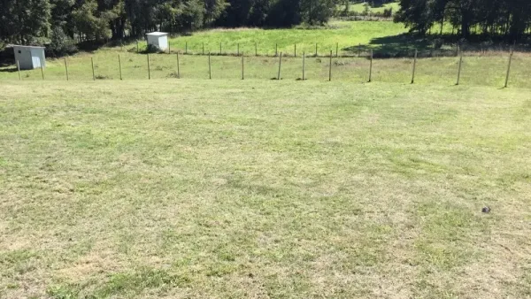 Parcela de 5.000 m² en Vegas de Lessio, Villarrica, rodeada de árboles nativos — foto 3/5