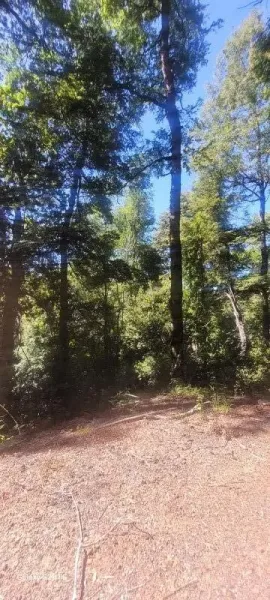 Terreno rural de 10.125 m² para proyecto de ecoturismo en Villarrica — foto 2/7