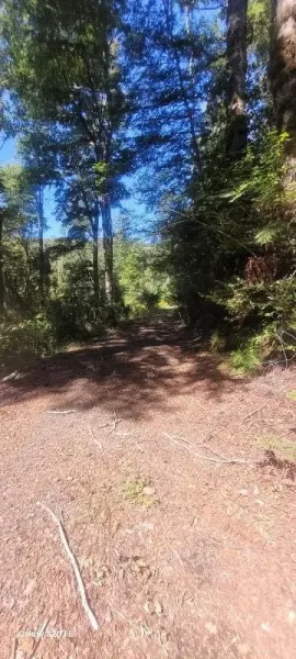 Terreno rural de 10.125 m² para proyecto de ecoturismo en Villarrica — foto 3/7