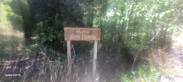 Terreno rural de 10.125 m² para proyecto de ecoturismo en Villarrica — foto 5/7