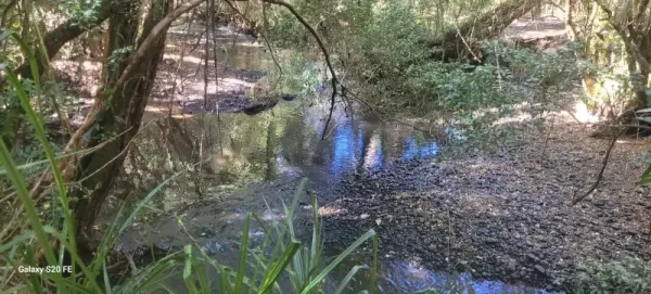 Parcela de 6.000 m² en Huiscapi con acceso al río y salida a la Ruta S-91 — foto 4/8