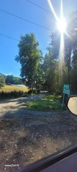 Parcela de 5.000 m² con dos casas en la Octava Faja, con estero propio, APR y luz — foto 3/20