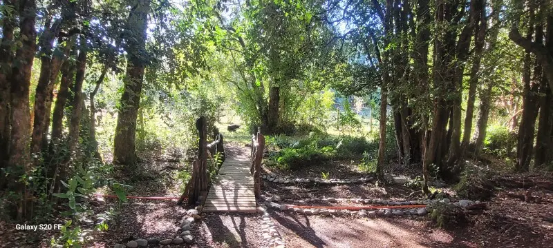 Parcela de 5.000 m² con casa y dos cabañas en la ruta a Lican Ray, Villarrica