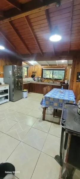 Parcela de 5.000 m² con casa y dos cabañas en la ruta a Lican Ray, Villarrica — foto 3/44