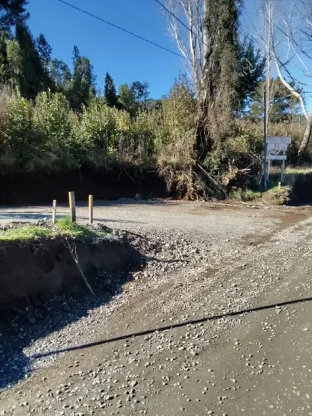 Parcela de 5.000 m² en Cudico Pino Huacho, Villarrica, con factibilidad de luz y agua