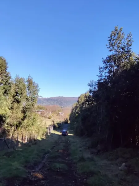 Parcela de 5.000 m² en Cudico Pino Huacho, Villarrica, con factibilidad de luz y agua — foto 5/7