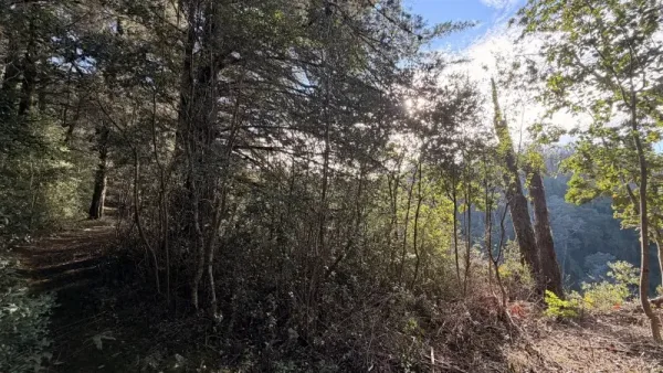Parcela de 5.000 m² en Putúe Alto, Villarrica, junto al río Toltén y con vista al volcán — foto 4/9