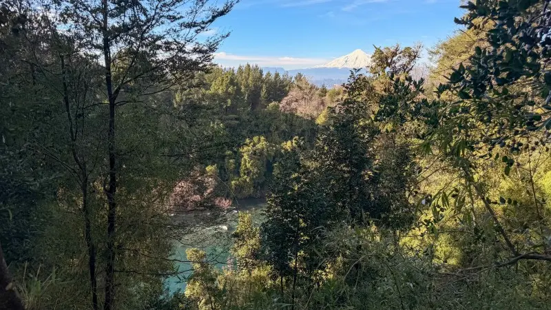 Parcela de 5.000 m² junto al río Toltén y con vista al volcán Villarrica