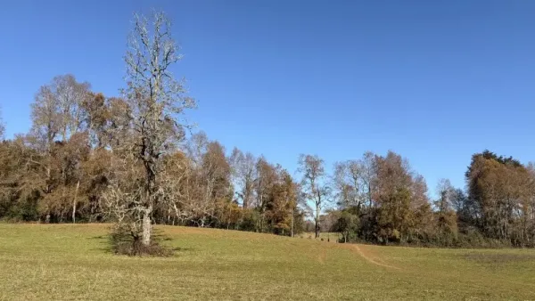 Fundo ganadero de 80 ha en Loncoche, camino a Villarrica