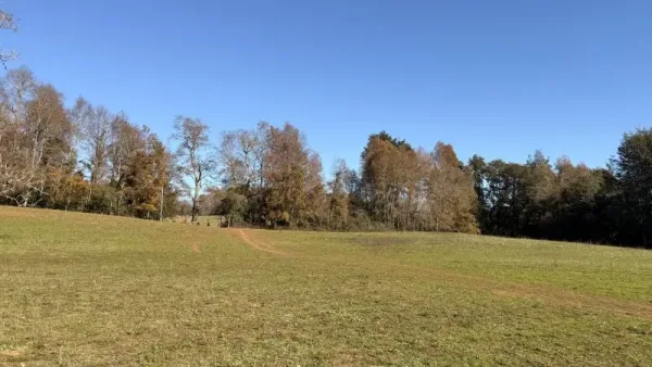 Fundo ganadero de 80 ha en Loncoche, camino a Villarrica — foto 4/33