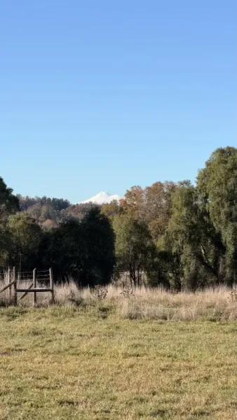 Parcela de 5.000 m² en Praderas de Nancahue, Loncoche, con rol propio y vista a dos volcanes — foto 3/9