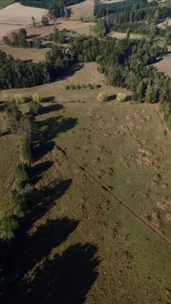 Fundo de 69 ha a 5 km de Villarrica, plano, con luz, derechos de agua y río — foto 2/31